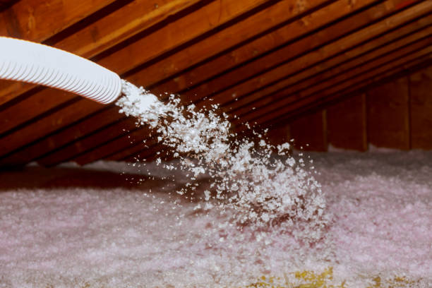 Best Insulation Installation Services in Burns Flat, OK